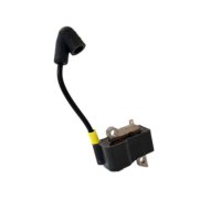 Zündspule / Zündmodul / Elektronikmodul...